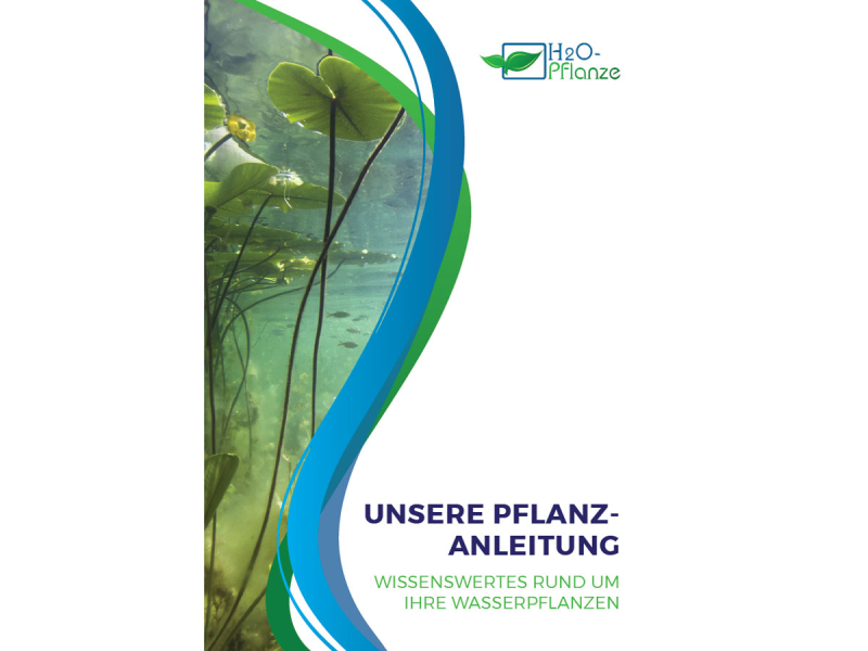 Pflanzanleitung Titelbild